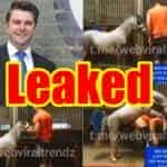 Michael Hanley Horse Video Leaked