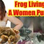 frog-living-in-women-pussy