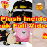 N Plush Incident Leaked Full Video